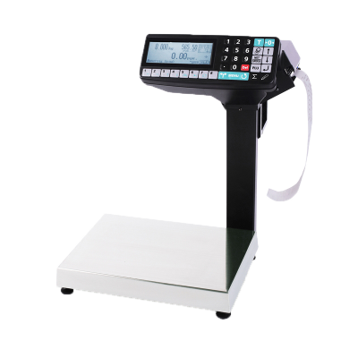 Весы с печатью этикеток Масса-К МК (15.2-RP10-1, арт 20933)