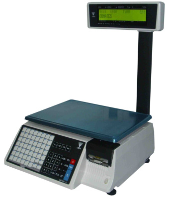 Весы с печатью этикеток Digi SM-100 (CS-PLUS-15)