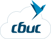 СБИС