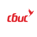 СБИС СБИС